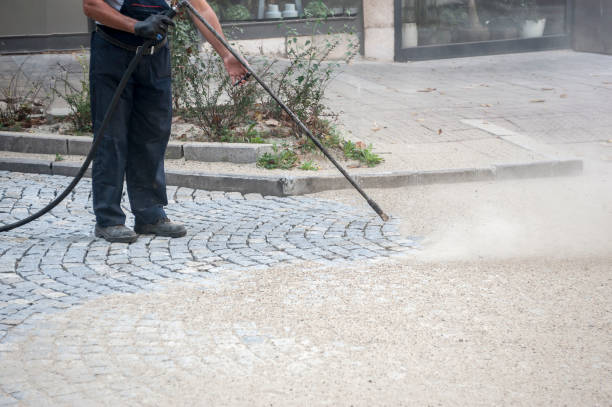 Animal Enclosure Cleaning in Hueytown, AL